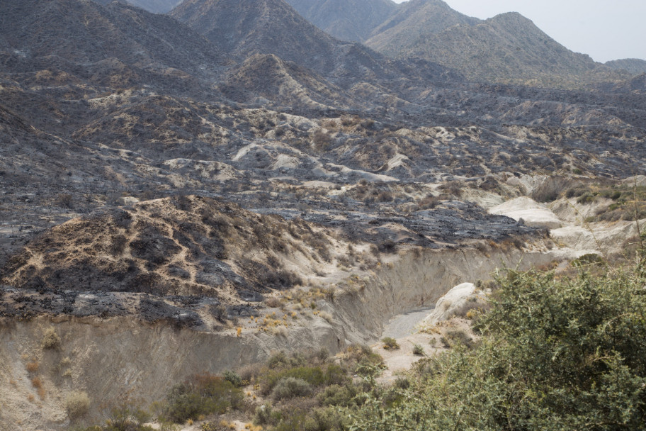 imagen Así quedó el Cerro Arco después del incendio