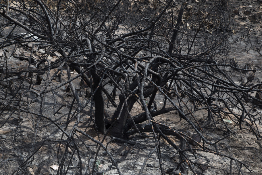 imagen Así quedó el Cerro Arco después del incendio