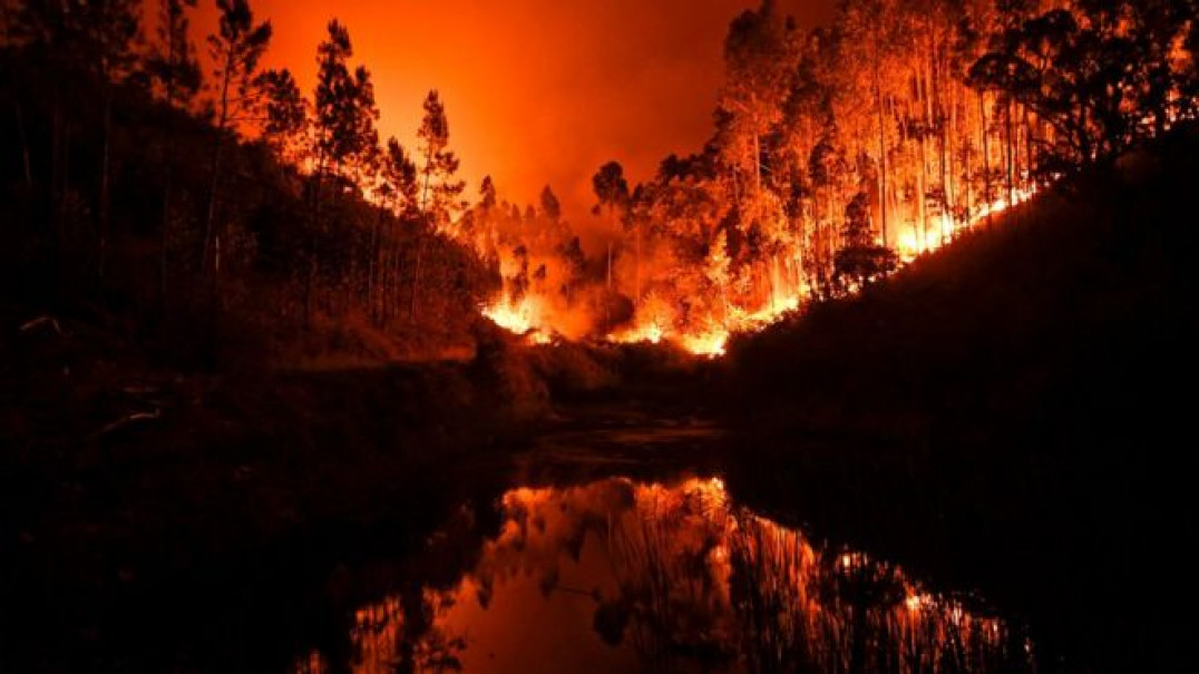 imagen Portugal, en intenso operativo para controlar el incendio forestal