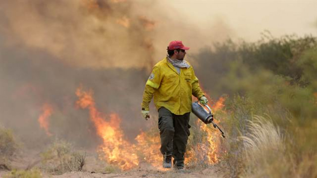 Las 15 mejores imágenes del fuego en el sur