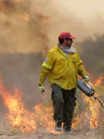 Las 15 mejores imágenes del fuego en el sur