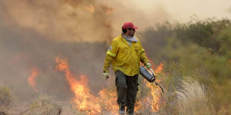 Las 15 mejores imágenes del fuego en el sur