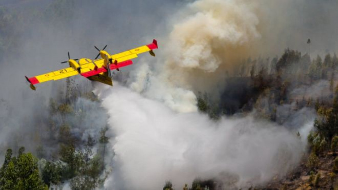 imagen Portugal, en intenso operativo para controlar el incendio forestal