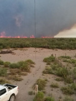 Incendios: se quemaron 130 mil hectáreas y quedan dos focos del fuego