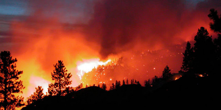 Las llamas ya consumieron más de 37.000 hectáreas en Chile 