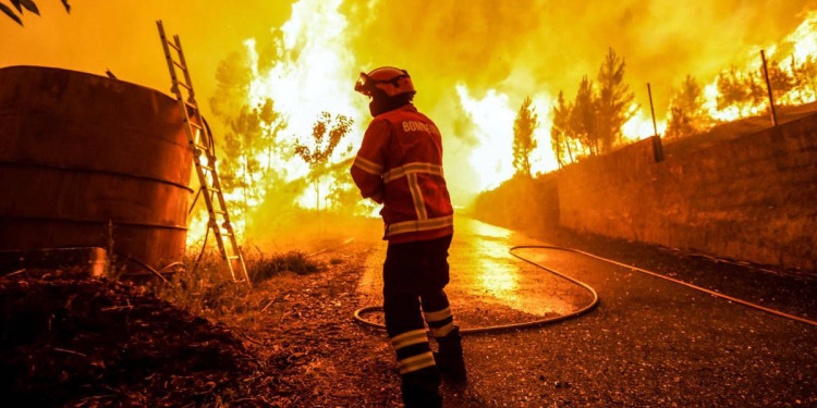 Portugal, en intenso operativo para controlar el incendio forestal