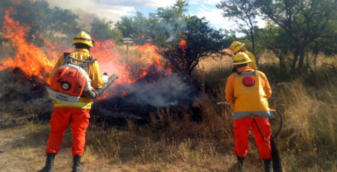 El fuego en La Pampa arrasó cerca de 600 mil hectáreas