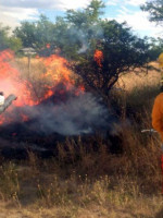 El fuego en La Pampa arrasó cerca de 600 mil hectáreas