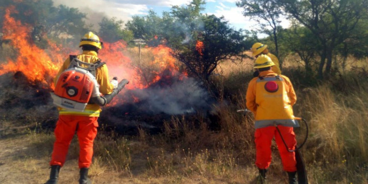 El fuego en La Pampa arrasó cerca de 600 mil hectáreas