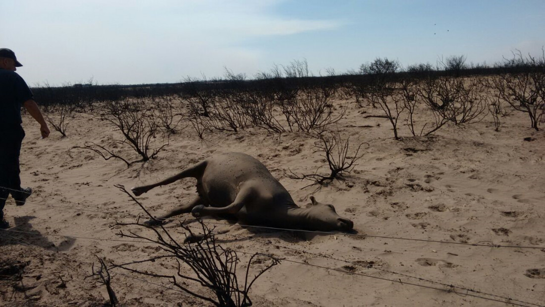 Sin lluvias es difícil apagar las llamas en Alvear