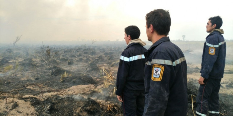 Lograron controlar los incendios en San Rafael y Alvear