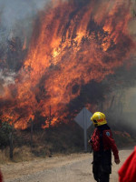 Incendios en Chile: el fuego arrasó con un pueblo entero