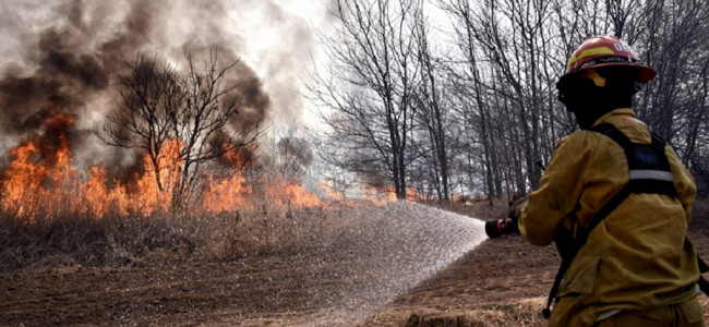 Los incendios forestales serán cada vez más devastadores: las soluciones que propone la ONU 