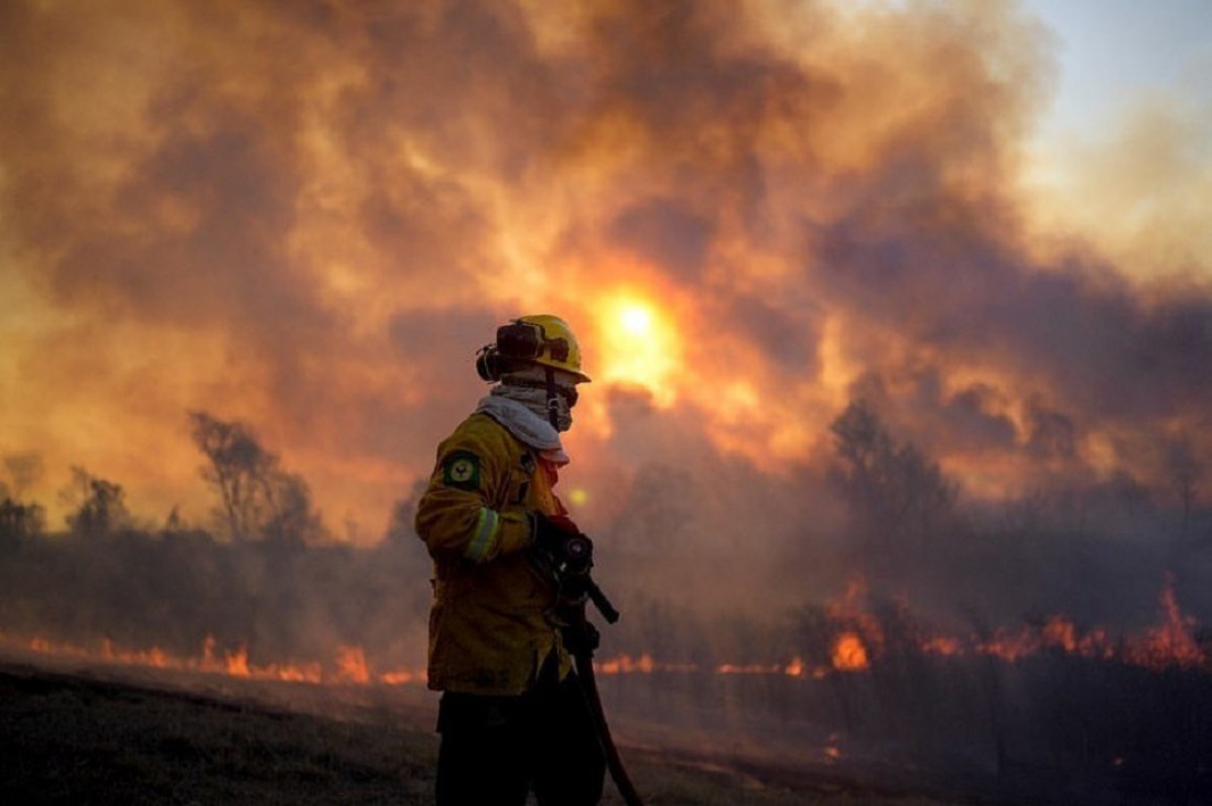 Incendios en el Delta del Paraná: "En tres años se quemaron unas 900 mil hectáreas"