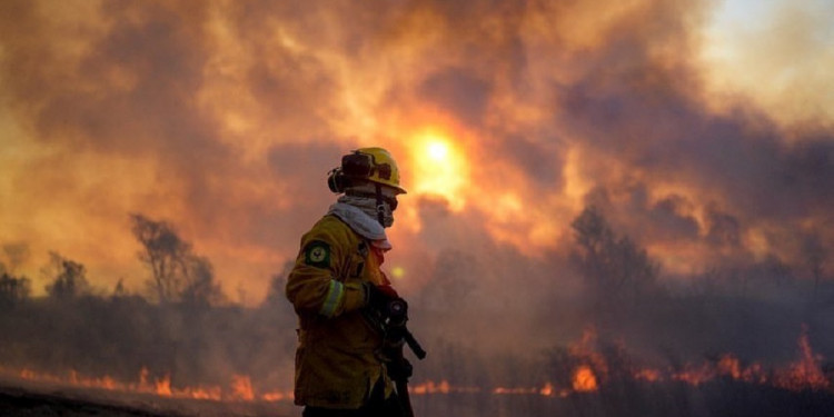Incendios en el Delta del Paraná: "En tres años se quemaron unas 900 mil hectáreas"