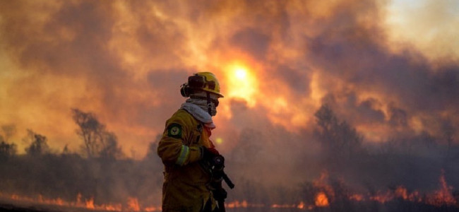 Una por una: las recomendaciones para prevenir los incendios forestales