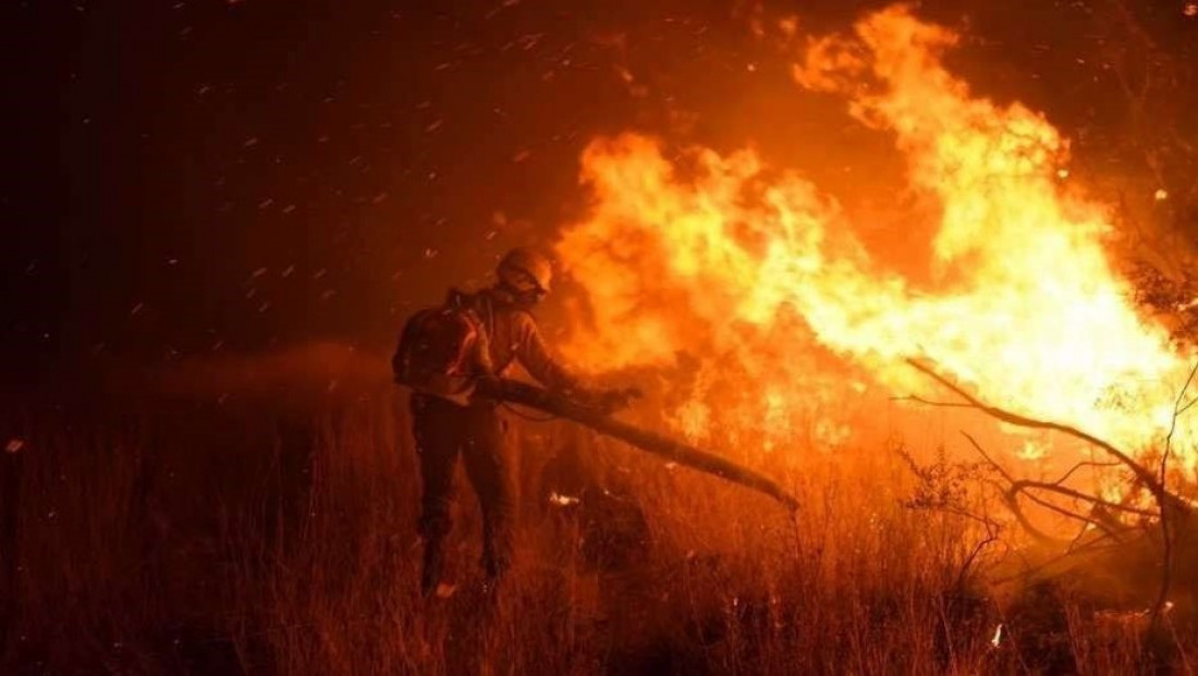 Los incendios de tierras productivas en Mendoza activaron un plan nacional