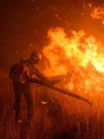 Los incendios de tierras productivas en Mendoza activaron un plan nacional