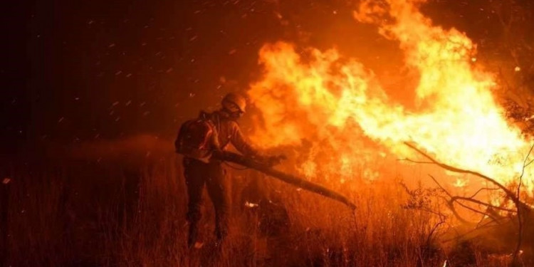 Los incendios de tierras productivas en Mendoza activaron un plan nacional