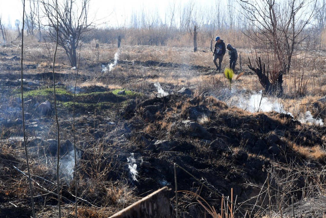 Turba de antiguos cultivos arde bajo la tierra en Guaymallén