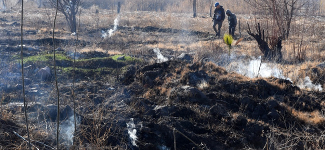 Turba de antiguos cultivos arde bajo la tierra en Guaymallén