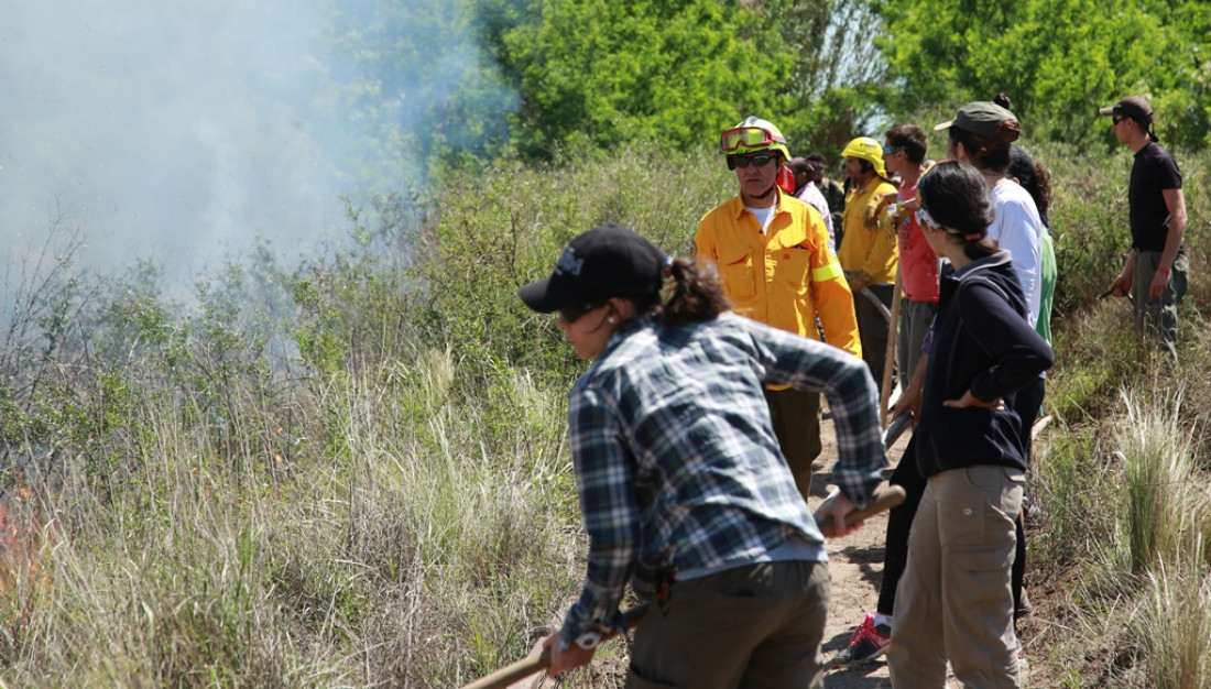 "Se están atendiendo entre 12 y 13 incendios importantes"