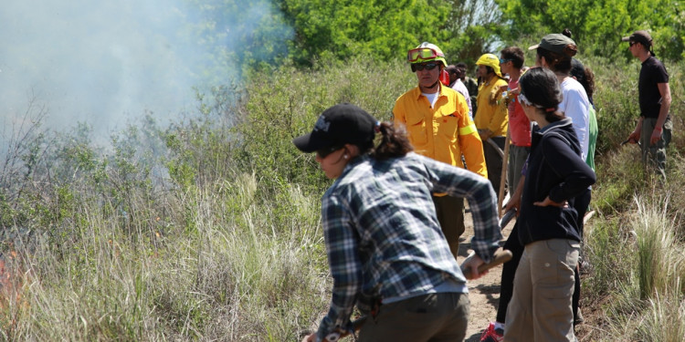 "Se están atendiendo entre 12 y 13 incendios importantes"