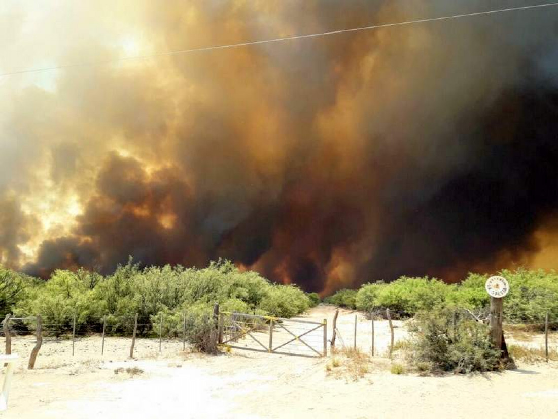 Ya son 130 mil las hectáreas afectadas por los incendios en el sur