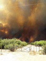 Ya son 130 mil las hectáreas afectadas por los incendios en el sur