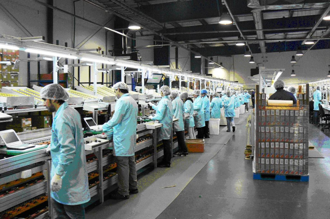 La industria sufrió su cuarta caída consecutiva: cedió el 5,6 % en agosto