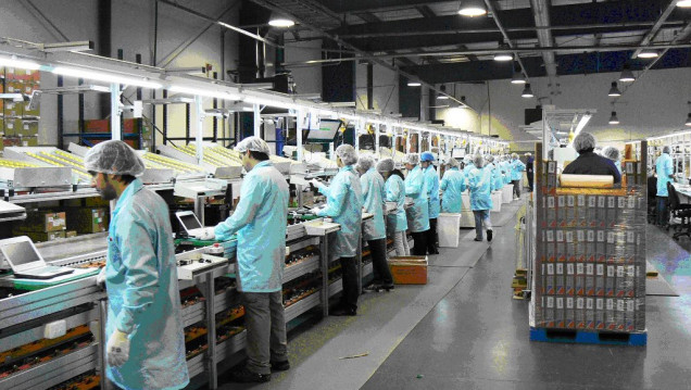 imagen La economía cayó el 1,6 % en agosto y acumula 5 meses en baja