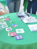 Aborto legal: "Falta una campaña pública de información por parte del Estado"
