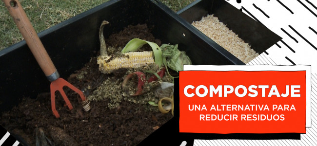 Ventajas, mitos y verdades sobre el compostaje