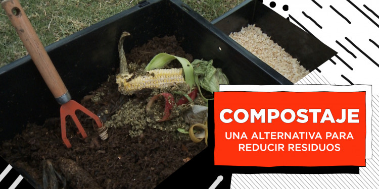 Ventajas, mitos y verdades sobre el compostaje
