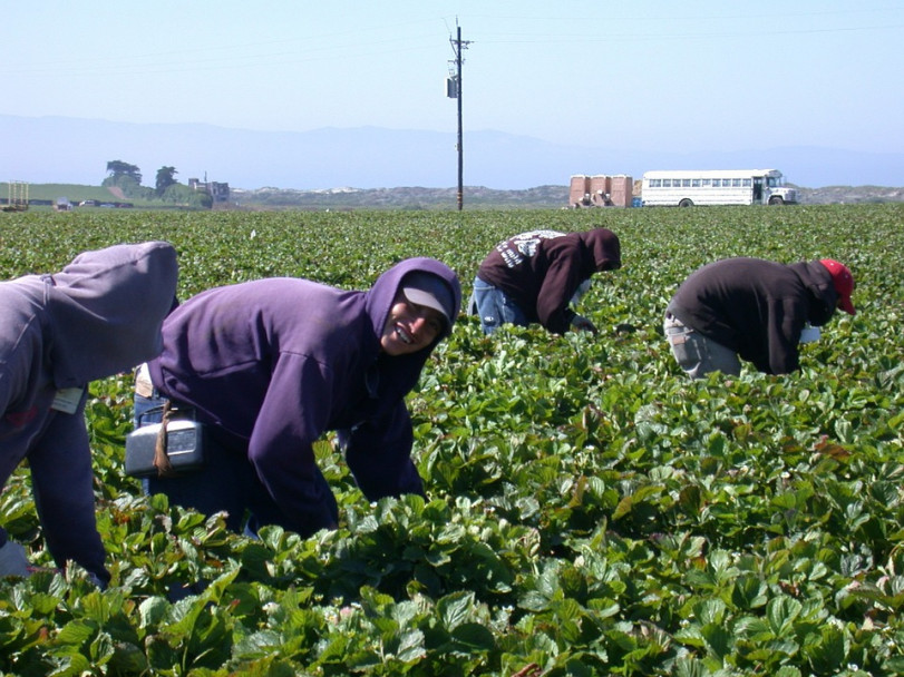 imagen Inmigrantes, la semilla nacional