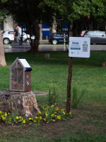 "Casitas" para insectos: nueva estrategia para control biológico de plagas 