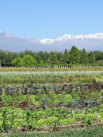 La agricultura regenerativa se extiende en la región de Cuyo