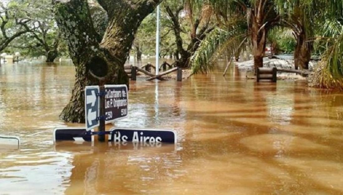 Inundaciones en el Litoral: "La república unida de la soja"