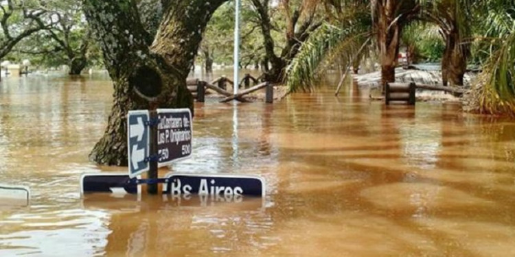 Inundaciones en el Litoral: "La república unida de la soja"