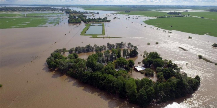Inundaciones: pronostican pérdidas para el campo de hasta USD 1750 millones