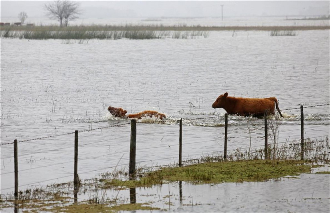 Las inundaciones afectan casi un tercio de la producción agropecuaria