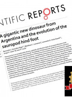 Por investigar a los dinosaurios, la UNCUYO es destacada mundialmente