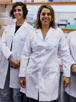 Un laboratorio argentino desarrolla tecnología para reemplazar el testeo de productos en animales