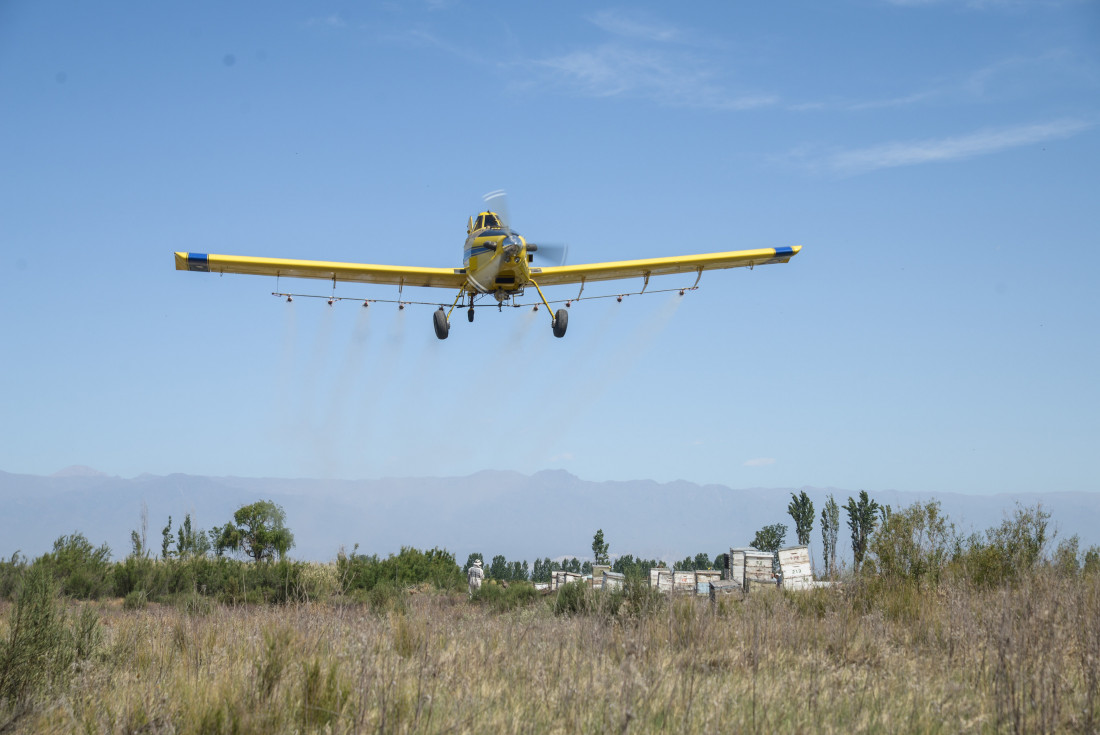 #AgrotóxicosMatan: marchas contra la fumigación de cultivo de vid