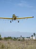 #AgrotóxicosMatan: marchas contra la fumigación de cultivo de vid