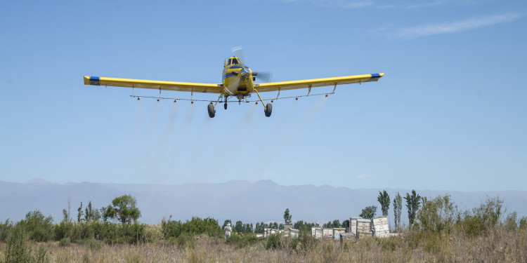 #AgrotóxicosMatan: marchas contra la fumigación de cultivo de vid