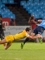 ¡Vamos, Jaguares!