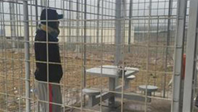 imagen Qué hay detrás de los jaulones penitenciarios