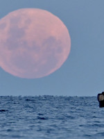 La superluna del ciervo, más grande y luminosa, ya puede verse en Argentina