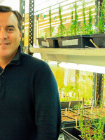 Investigan moléculas de raíces para desarrollar plantas "superadaptables" al clima